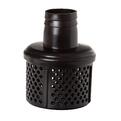Bensiinimootoriga veepump 2"